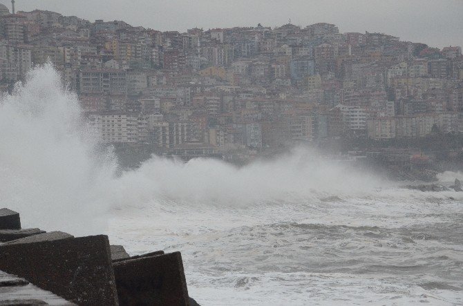 Karadeniz Coştu, Liman Çöple Doldu