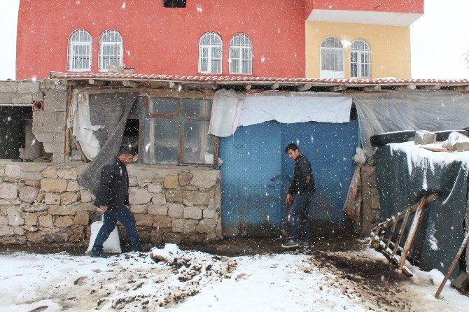 Engelli Çocuklarına Aldığı Koyunları Akrabaları Tarafından Çalındı