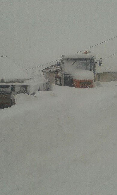 Yenice’de Kar 1 Metreye Ulaştı