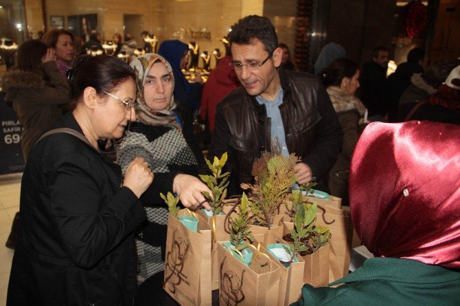 Samsun’da 4 Bin Fidan Dağıtıldı