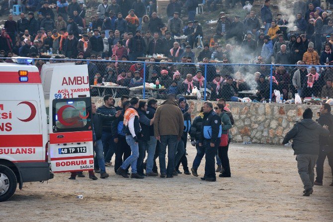 Deveciler Devlerden Daha Kindar Çıktı