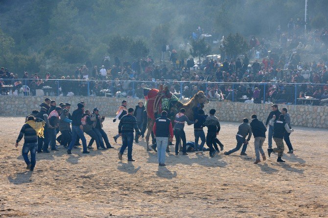 Deveciler Devlerden Daha Kindar Çıktı