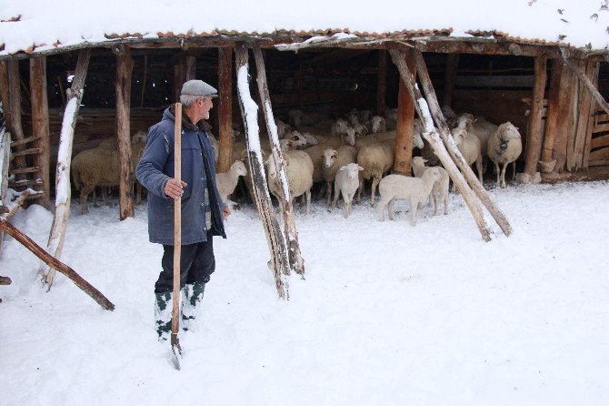 Seyitgazi’de Kar Manzaraları