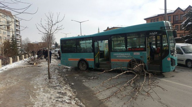 Eskişehir’de Yoldan Çıkan Otobüs Ağacı Sökerek Durabildi