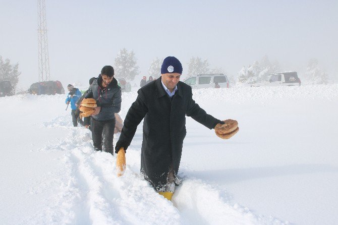 Beyşehir’de Yaban Hayvanlarına Yiyecek Desteği