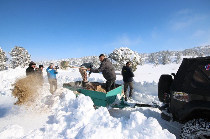 Beyşehir’de Yaban Hayvanlarına Yiyecek Desteği