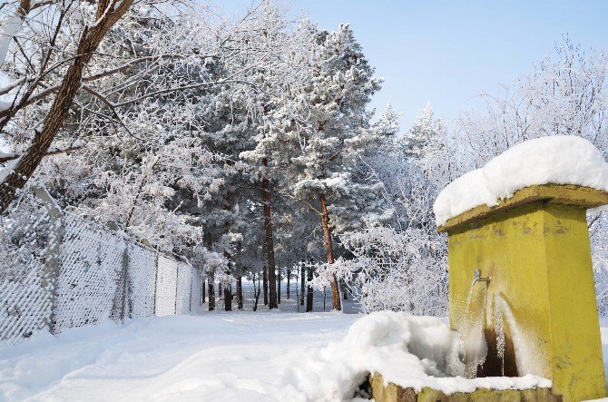Muş’ta Kış Manzaraları