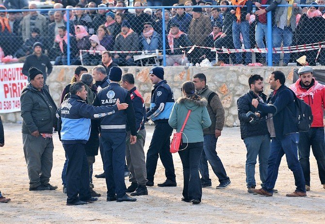 Mbgcd, Deve Güreşlerinde Basına Yönelik Şiddeti Kınadı