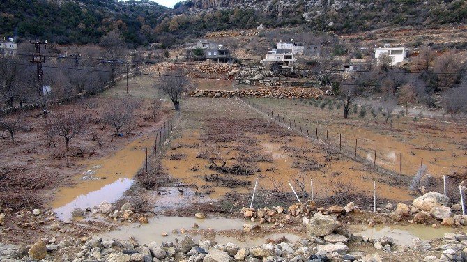 Silifkeli Çiftçiler İçin Kar, Beyaz Berekete Dönüştü