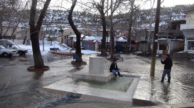 Silifkeli Çiftçiler İçin Kar, Beyaz Berekete Dönüştü