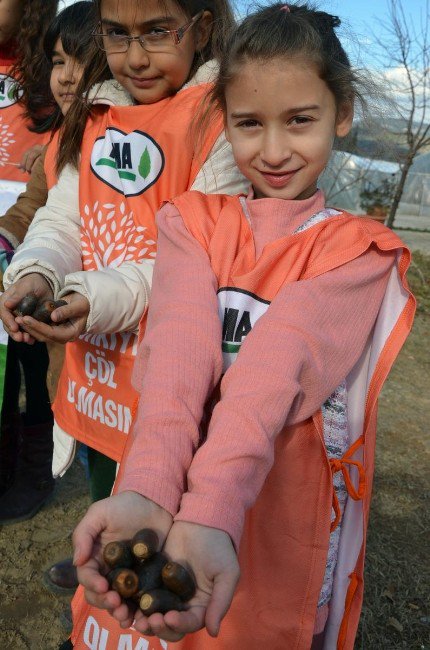 Doğa İçin Umut, Her Mahalleye Palamut