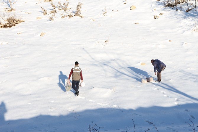 Şırnak’ta Yaban Hayvanları İçin Doğaya Yem Bırakıldı