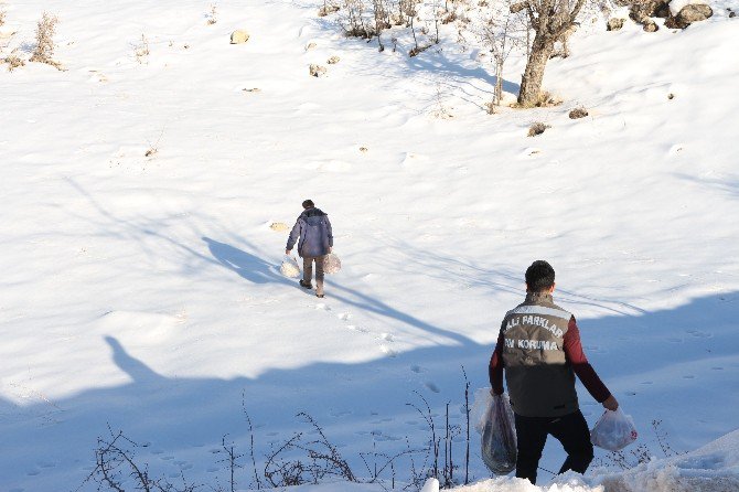 Şırnak’ta Yaban Hayvanları İçin Doğaya Yem Bırakıldı