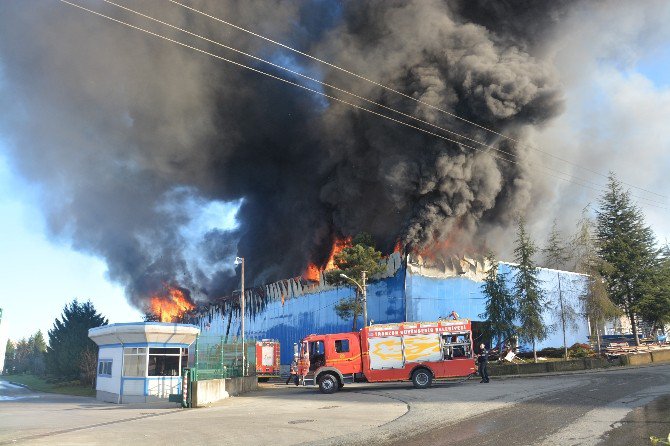 Arsin Organize Sanayi Sitesi’nde Yangın...(2)