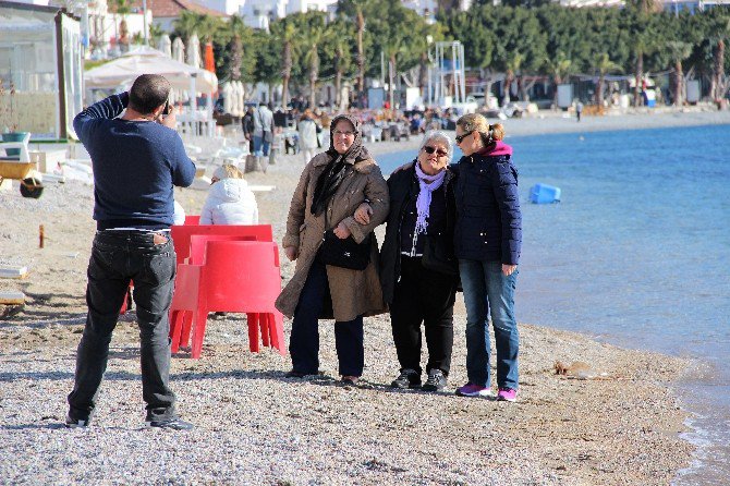 Bodrum’da Ocak Ayında Yazı Yaşadılar