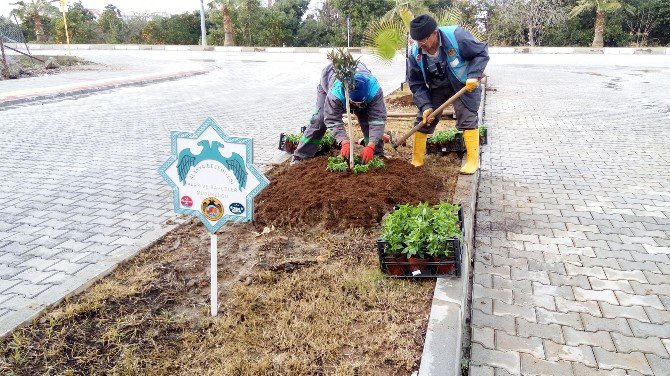 Alanya’da Bitkilendirme Çalışmaları