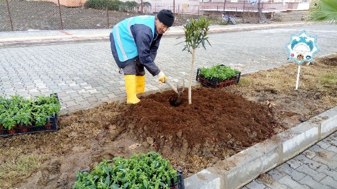 Alanya’da Bitkilendirme Çalışmaları