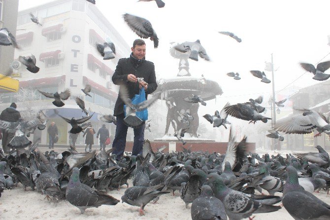 Edirne ‘Buz’ Kesti