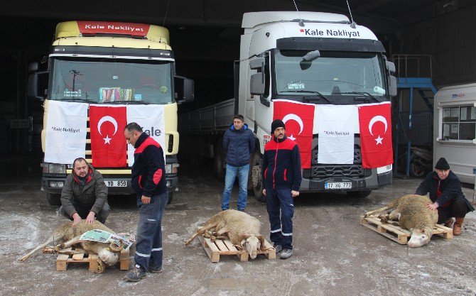 Kaleseramik Yılın İlk Sevkiyatını Gerçekleştirdi