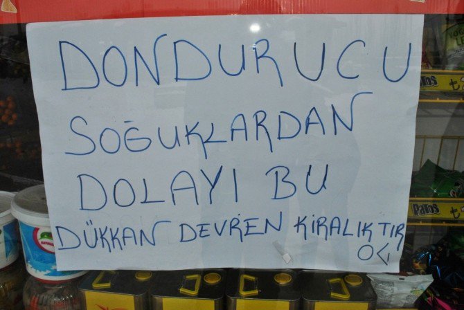 Soğuk Hava Nedeniyle Memleketini Terk Ediyor