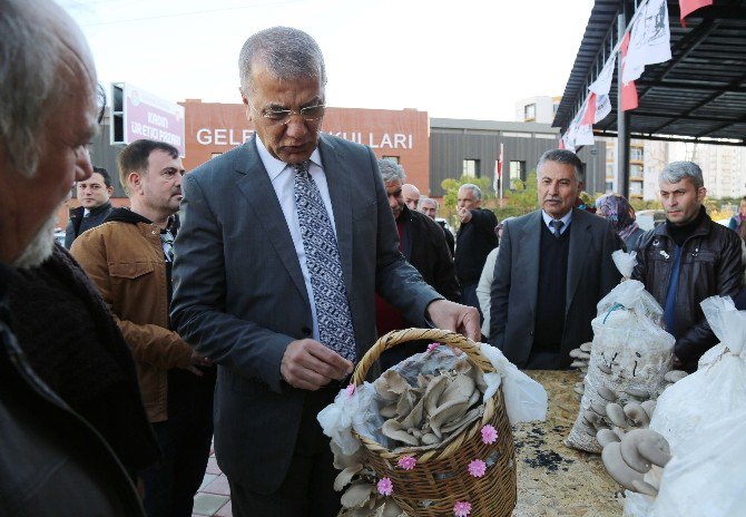 Mezitli Kadın Üretici Pazarı’nda İstiridye Mantarı Şöleni