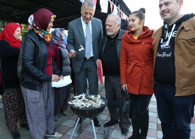 Mezitli Kadın Üretici Pazarı’nda İstiridye Mantarı Şöleni