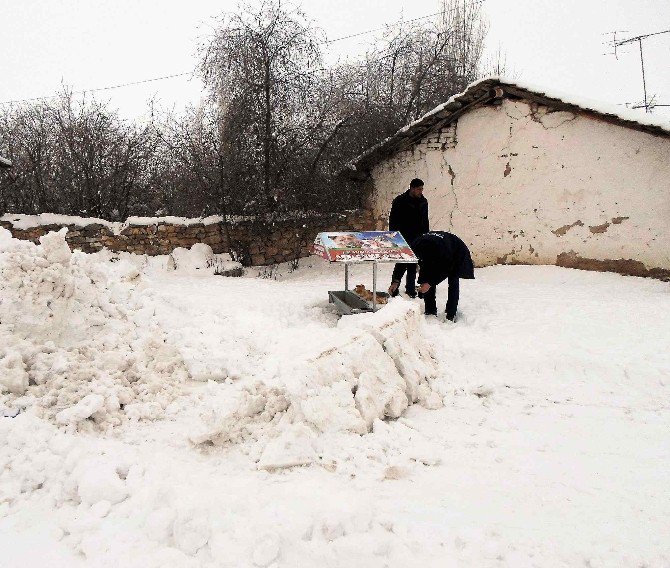 Aslanapa Belediyesi’nden Sokak Hayvanlarına Su Ve Yiyecek Desteği