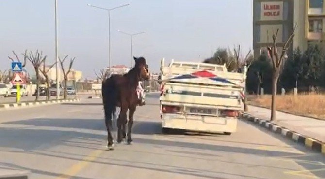 Manisa’da Akıllara Durgunluk Veren Olay