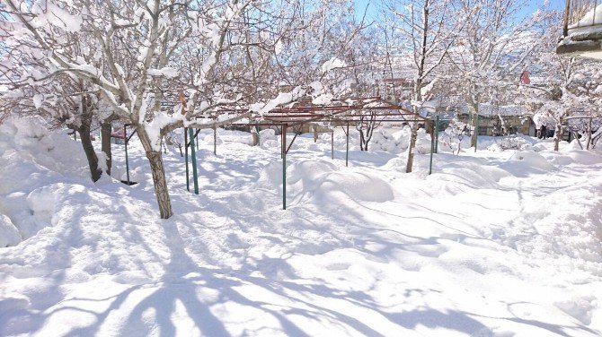 Silifke’nin Yüksek Kesimleri Kara Teslim