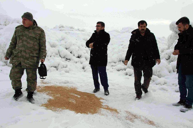 Başkan Çetin Yabani Hayvanlar İçin Doğaya Yem Bıraktı