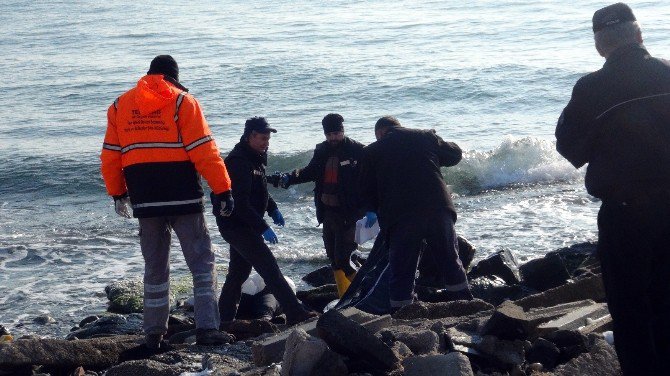 Tekirdağ Sahilinde Kadın Cesedi Bulundu