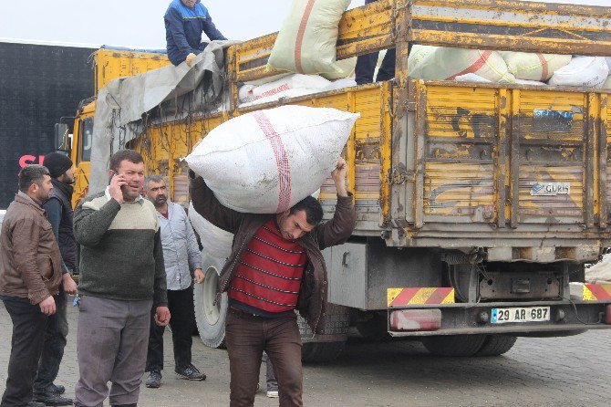 Halep’e Yardımlar Çığ Gibi Büyüyor