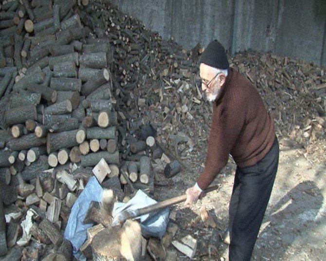 83 Yaşında Her Gün Tonlarca Odun Kırıyor