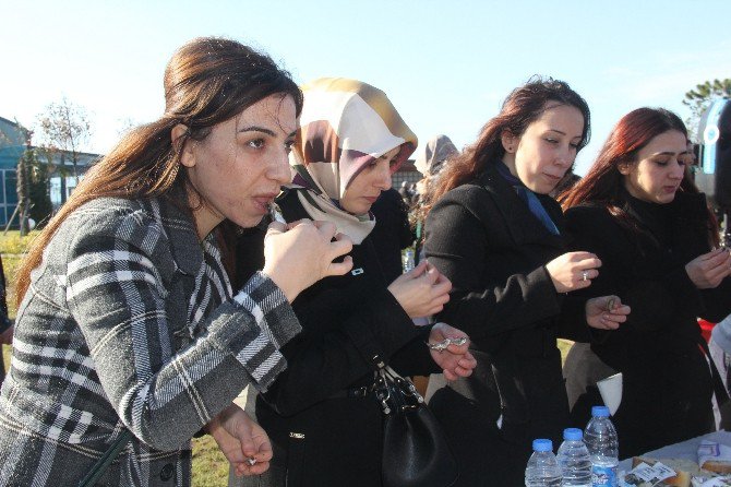 ’Hamsi Şöleni’ Değil ’Hamsi Birliği’