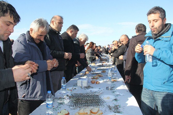 ’Hamsi Şöleni’ Değil ’Hamsi Birliği’