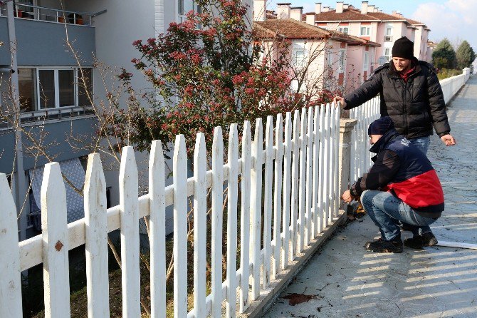 Başiskele’de Park Ve Bahçelere Yönelik Çalışmalar Sürüyor