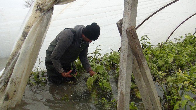 Mersinli Çiftçilerin Seralarda Tekne Ve Kayıkla İmtihanı