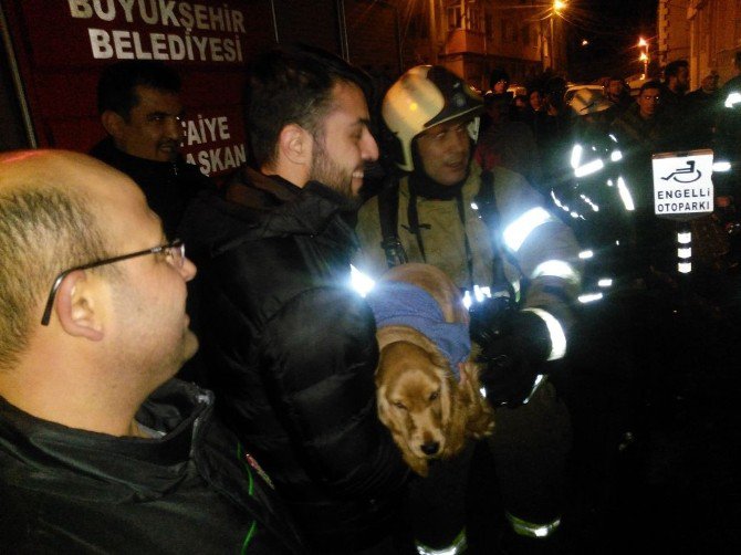 Alevlerin Arasındaki Köpeği İtfaiye Kurtardı