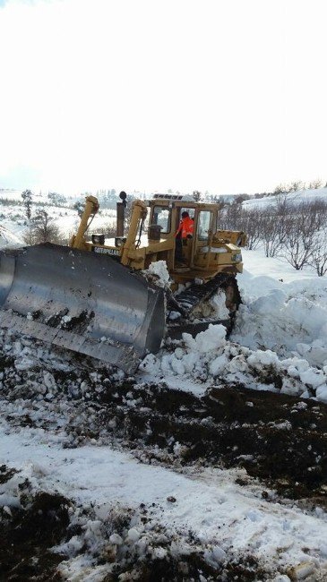 Çamlıyayla Belediye Başkanı Tepebağlı, Yaylacıları Uyardı