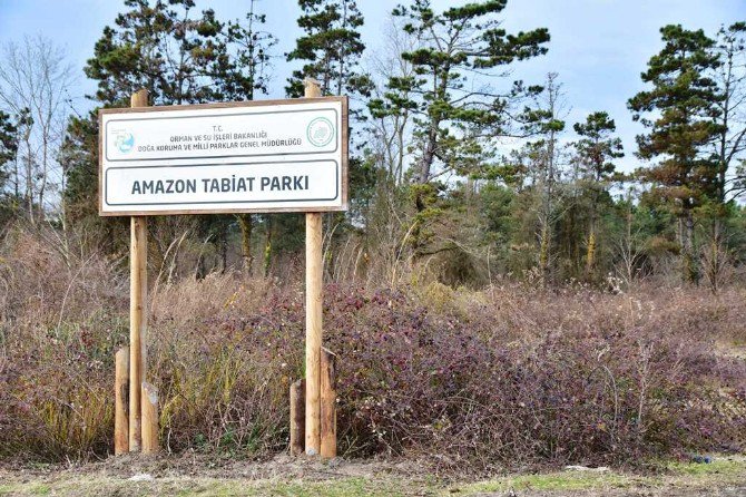 Amazon Tabiat Parkı Dünyaya Açılacak