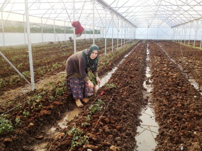 Samsun’da 239 Genç Çiftçi Hibe Aldı