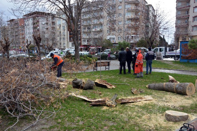 Lodosun Yaraları Sarılıyor, Ekipler Teyakkuzda