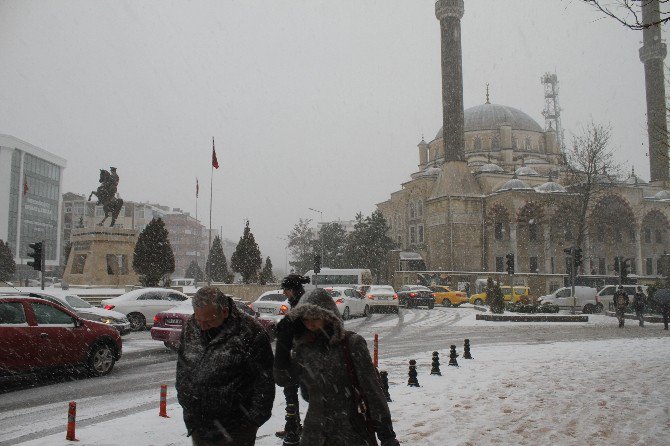 Tekirdağ’da Beyaz Çile