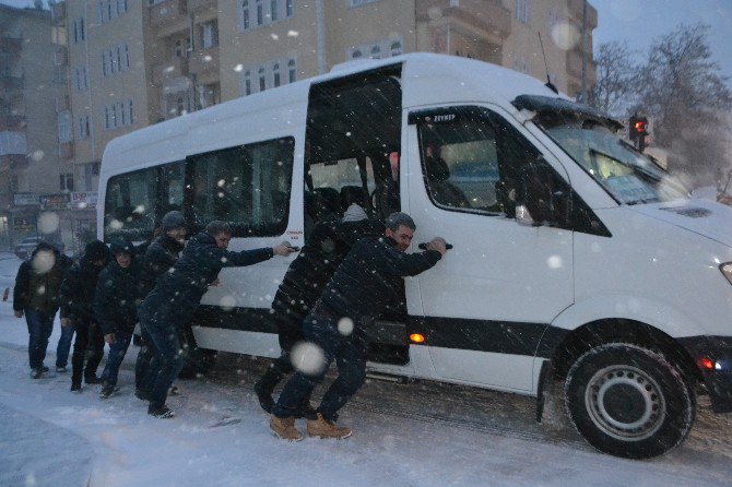 Tekirdağ’da Beyaz Çile