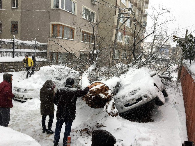 Bursa’da Yoğun Kar Asırlık Ağacı Yıktı, Tramvay Seferleri Güçlükle Yapılabiliyor...