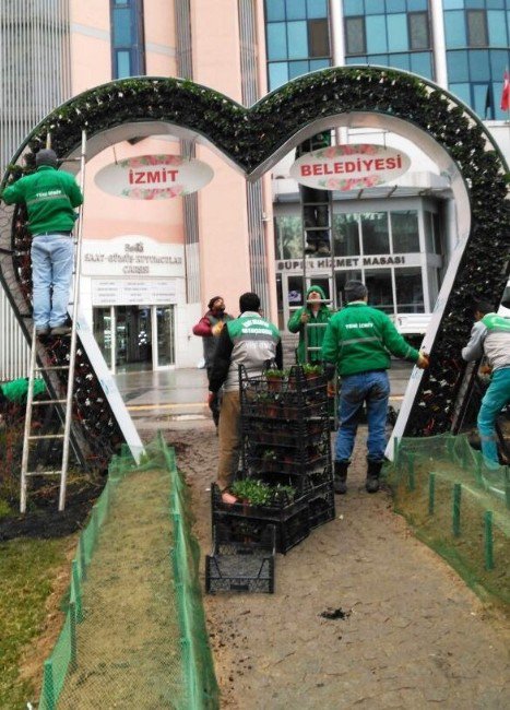 Sabri Yalım Parkına 4 Bin Adet Menekşe Yerleştirildi