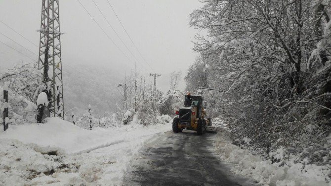 Yıkılan Elektrik Direği Hem Elektriksiz Bıraktı Hem Köy Yolunu Kapadı