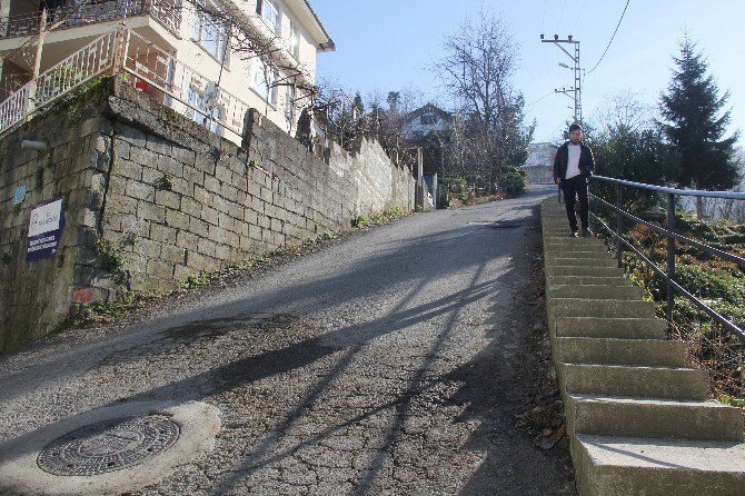 Rize, Yeni Zellanda’nın Dik Yolları İle Meşhur Dunedin Şehrine Rakip Oldu