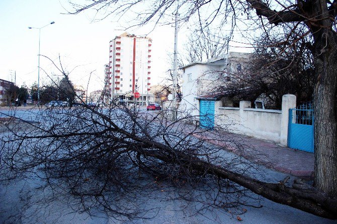 Şiddetli Rüzgar Heykeli Devirdi, Çatıları Uçurdu