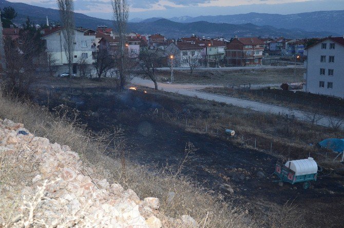 Niksar’da Mahalle Arasındaki Anız Yangını Korkuttu